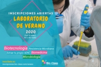 Laboratorio de Verano